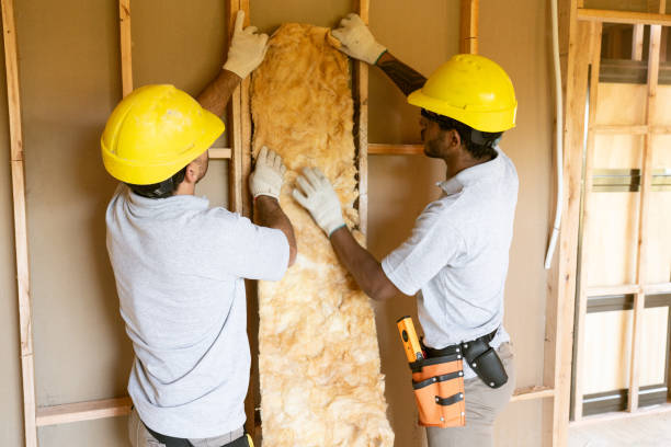 Best Commercial Insulation Services in Mancelona, MI